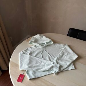 Aritzia sweatshirt / hoodie / activewear